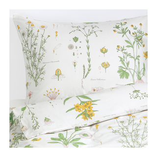 Illustration for article titled A botanist's duvet cover and pillows